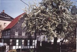 Heimatmuseum Mülsen St. Niclas Frühling